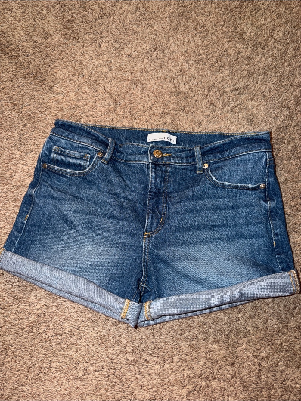 LOFT the Roll Shorts size 27/4